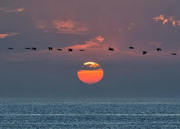 Costa Mar Ii Consolação